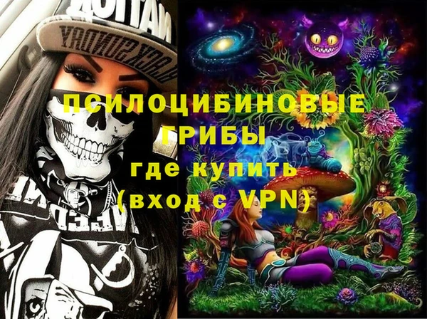 PSILOCYBIN Протвино