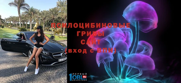 PSILOCYBIN Протвино